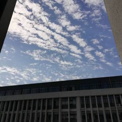 BOB最新版本下载